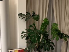 -果流香水果甜品(建政路店)