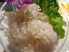 -川西坝子(老军营店)