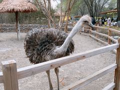 -北京野生动物园