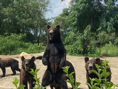 -沈阳森林动物园