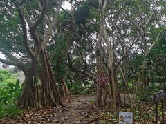 -华侨城湿地公园