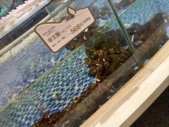 -海鲜码头·中国菜