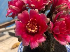 -宝山路(地铁站)