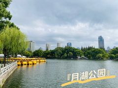 -月湖公园