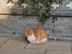 -龙华寺