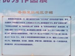 -仲盛世界商城