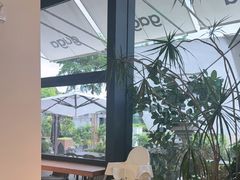 -gaga(深圳南山益田假日广场店)