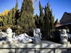 -天津大悲禅院