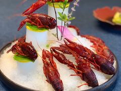 -荷风细雨·中国茶宴(碧云店)