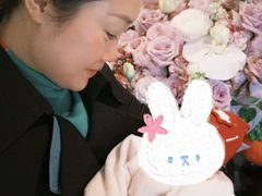 -田螺阿姨自营月嫂·育儿嫂(高新店)