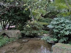 -中国茶叶博物馆(双峰馆区)