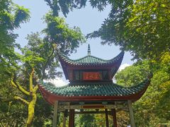 -岳麓山风景名胜区