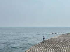 -燕儿岛山公园