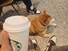 -星巴克(成都科学城店)