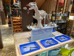 -卡通尼·Safari非洲探索乐园·生日会(金桥国际商业广场店)