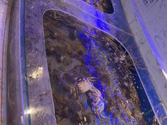 -澜悦港海鲜体验主题餐厅