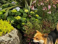 -黔府豆米火锅野菜馆(南马店)