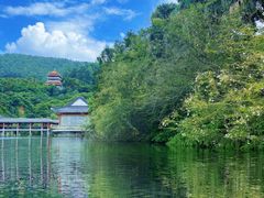 -水濂山森林公园