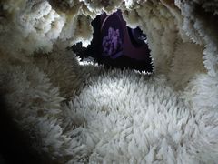 -湖南省地质博物馆