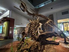 -自贡恐龙博物馆
