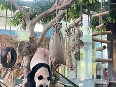 -泉州海丝野生动物世界