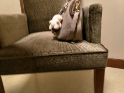 -上海艾儿贝佳妇产科医院