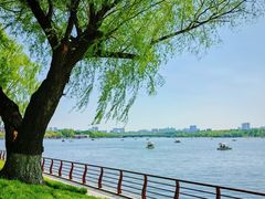 -长春市南湖公园