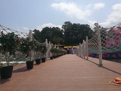 -广州市流溪河国家森林公园