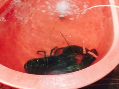 -阿伍海鲜大排档(塔湾金沙店)