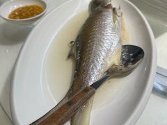 -日日香卤鹅饭店·澄海狮头鹅(澄海店)
