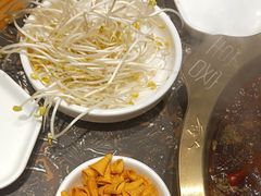 -堂客老火锅(欣阳广场总店)