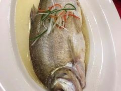 -正晴和酒店(黑龙江路店)