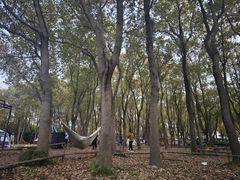 -嘉北郊野公园