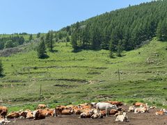 -云座·时光·观景咖啡厅(五爷庙店)