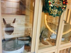 -白兔子密室(长寿路店)