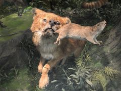 -国家自然博物馆