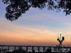 -宝安西湾红树林湿地公园