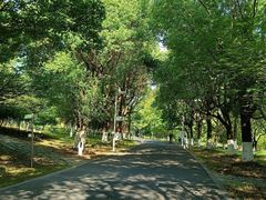 -白塘生态植物园
