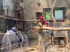 -大连森林动物园