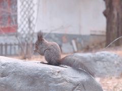 -香山公园