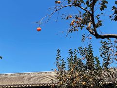 -北京石刻艺术博物馆(五塔寺)