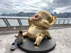 -星光大道