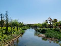 -上海长兴岛郊野公园