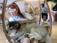 -Husky Go! 哈士奇体验馆·宠物咖啡厅狗咖