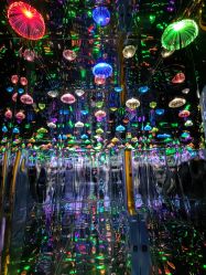 -疯狂冒险家-亲子密室-东坝店(金隅嘉品店)