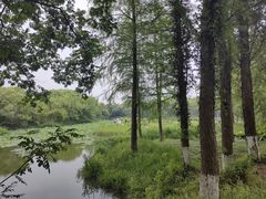 -西溪国家湿地公园