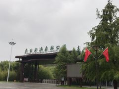 -黄海国家森林公园