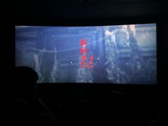 -AMG海上明珠影城(上海环球港RealDCinema店)