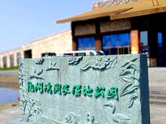 -宁波杭州湾国家湿地公园