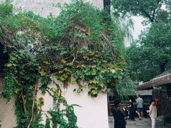 -乌镇东栅景区